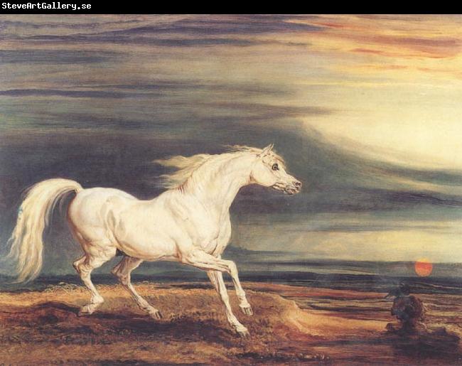 James Ward Napoleon's Horse,Marengo at Waterloo